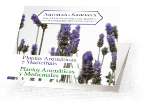 Plantas Aromáticas e Medicinais / Plantas Aromáticas y Medicinales